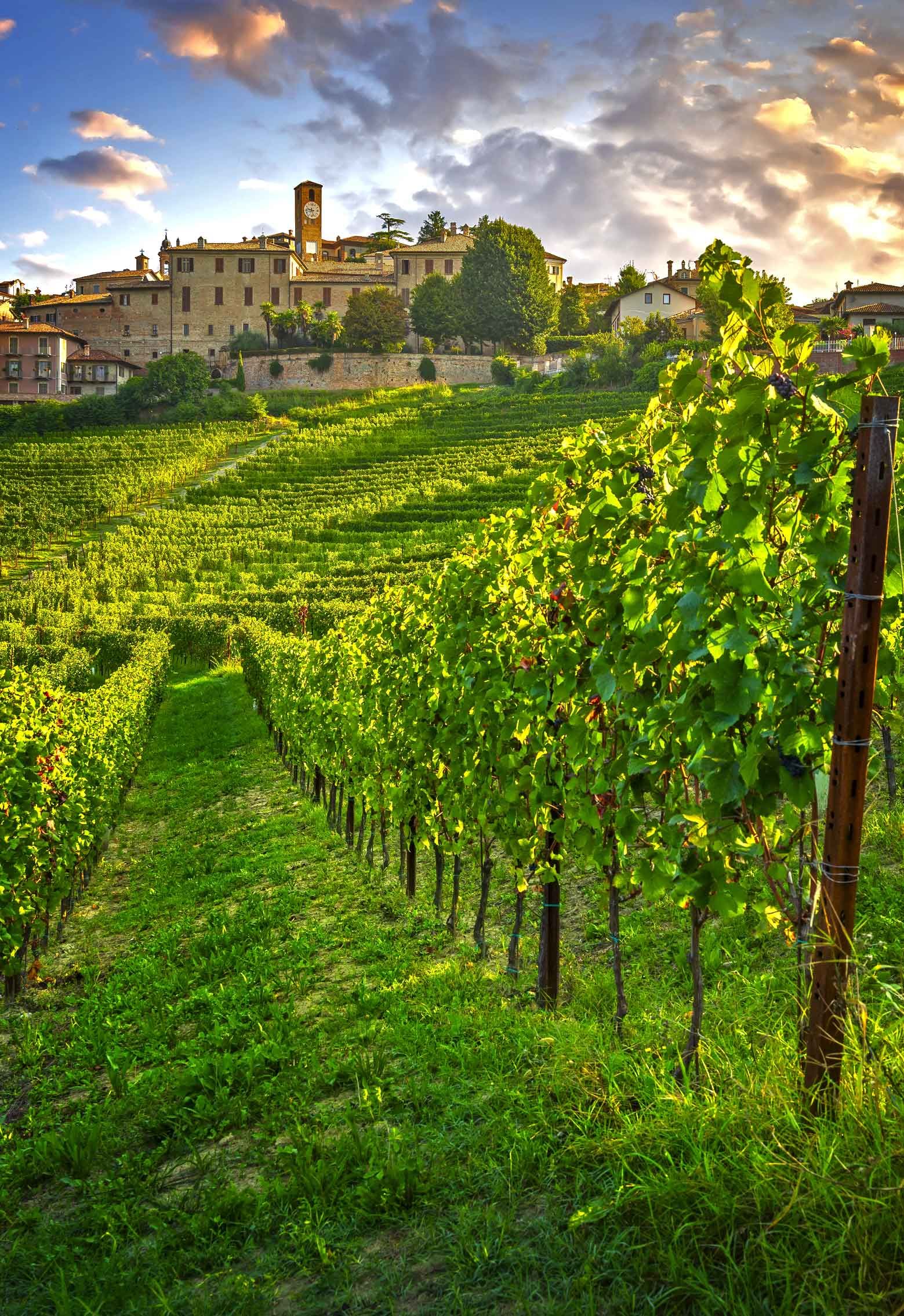 neive-village-and-langhe-vineyards-piedmont-italy