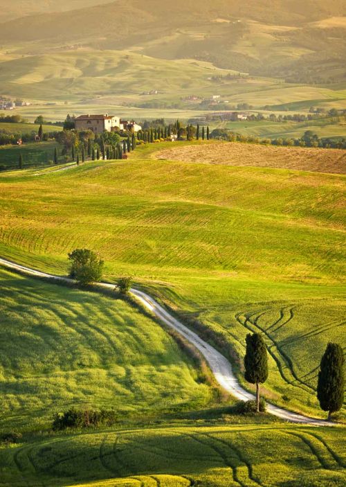white road in tuscany